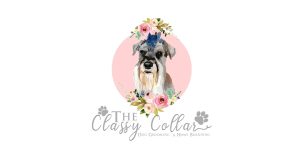 The Classy Collar